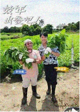 超级影院综艺周末厨房局贴纸封面